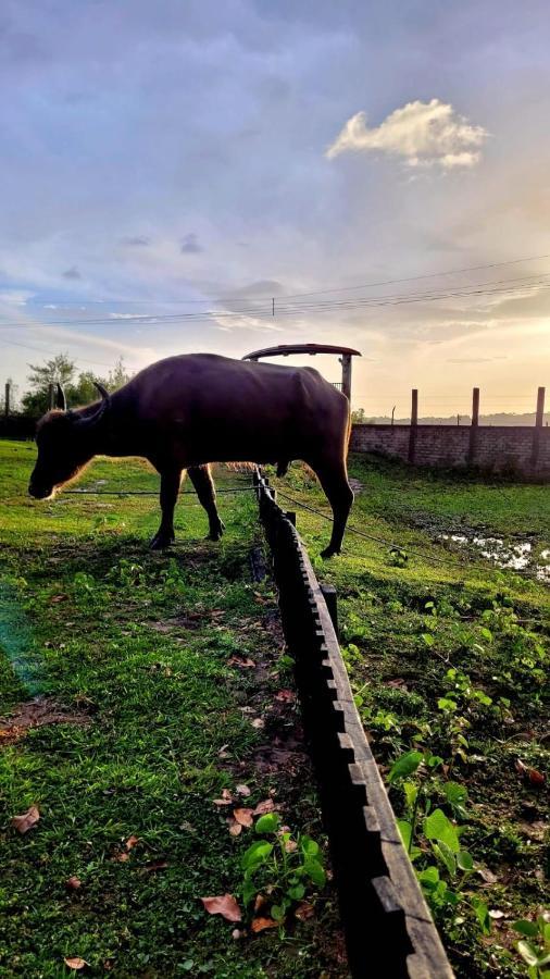 Pousada Marajoara- Hotel Fazenda-Turismo De Aventura Soure Eksteriør billede