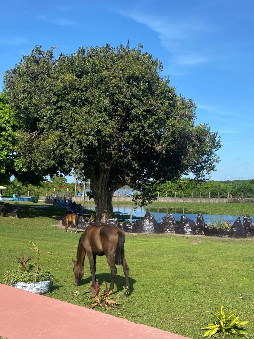 Pousada Marajoara- Hotel Fazenda-Turismo De Aventura Soure Eksteriør billede